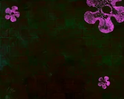 Title card background (alternate variant).