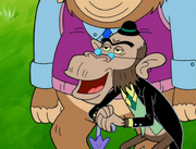 Chimps Ahoy 191