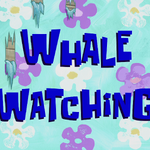 Spongebob whale watching hot sale