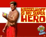 David Hasselhoff poster #1