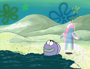 Bubble Buddy 105