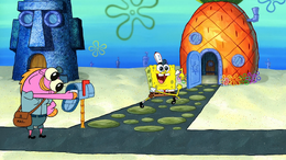 Mailbox in Salty Sponge