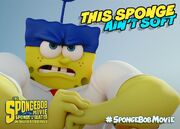 This sponge ain't soft