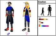 Ceallan Species