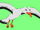 Seagull (Omicron)
