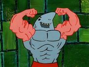 Anchor Arms Shark.jpg