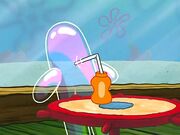 023b - Bubble Buddy 214.jpg