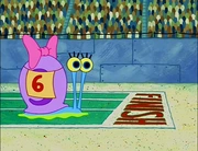 The Great Snail Race/gallery | SpongeBob Galaxy Wiki | Fandom