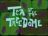 Tea at the Treedome