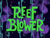 Reef Blower.jpg