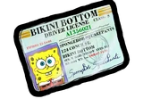 Licenses
