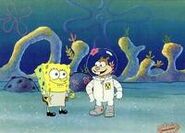 Spongebob and Sandy