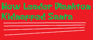 How Leader Plankton Kidnapped Santa