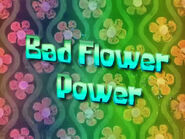 Flower Power