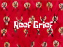 Reefgrief