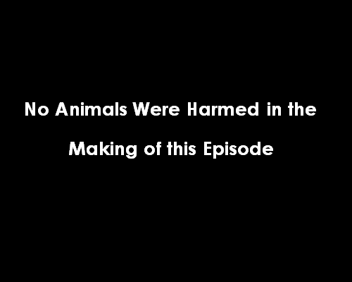 No Animals Were Harmed in the Making of this Episode | SpongeBob Fanon Wiki  | Fandom