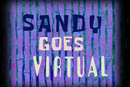 Sandygoesvirtual