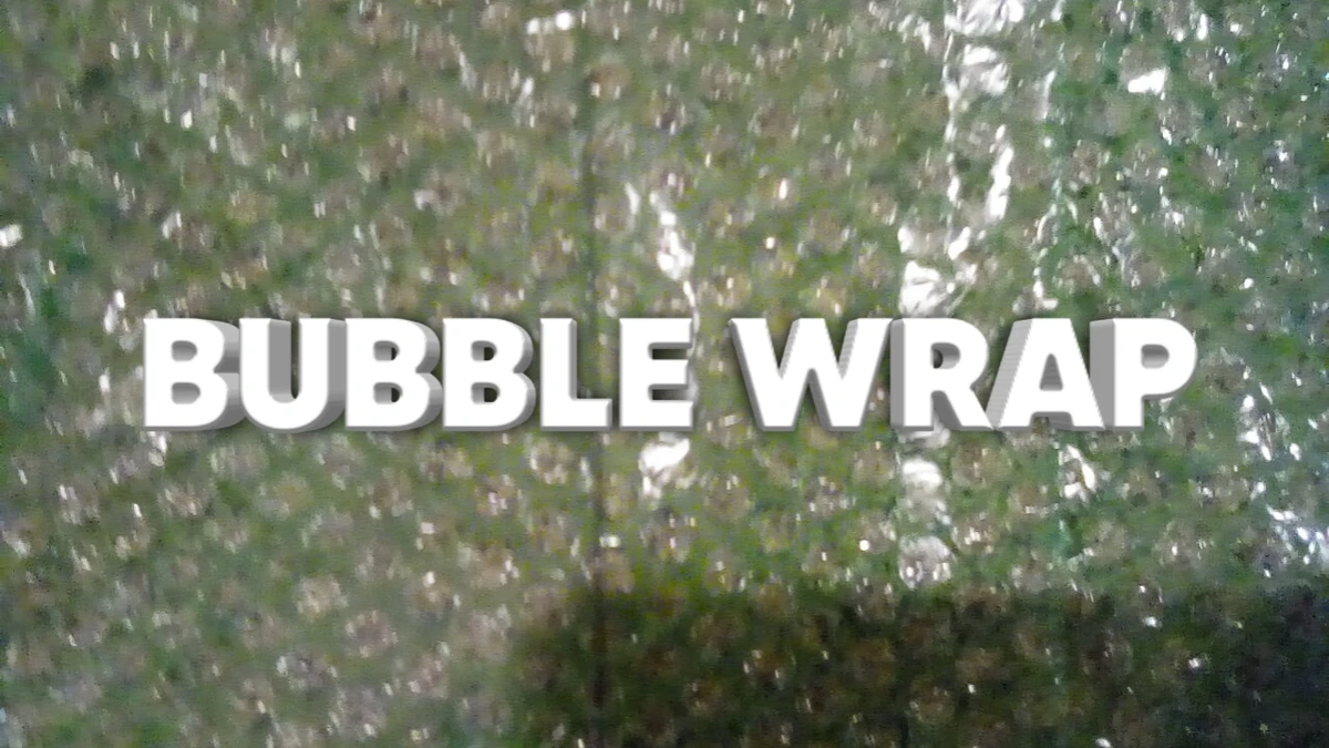 Bubble Wrap SpongeBob Fanon Wiki Fandom
