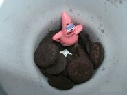 Patrick in Oreos.