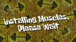 Installmuscles