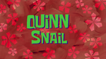 Quinn Snail