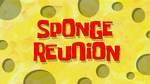 SPONGE REUNION