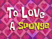 To Love A Sponge title card