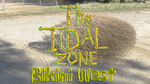The Tidal Zone: Bikini West