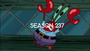 Season 137