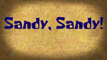 SandyS