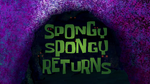 Spongy spongy