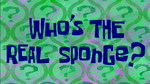 Whos the real sponge