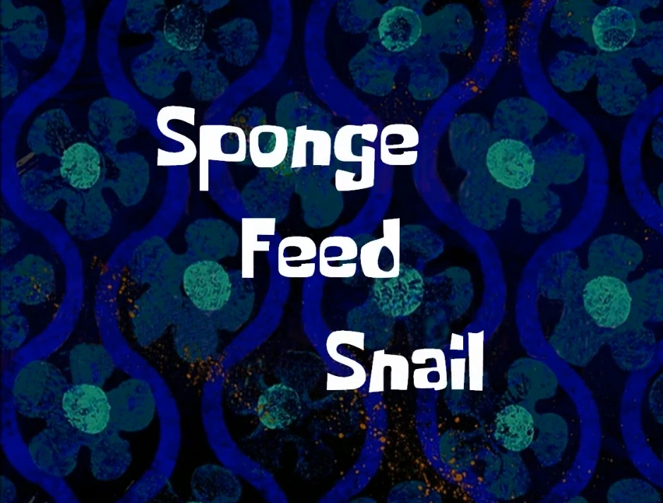 Sponge Feed Snail SpongeBob Fanon Wiki Fandom