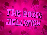 The-Boxer-Jellyfish
