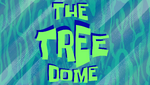 The tree dome