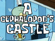 A Cephalopod's Castle
