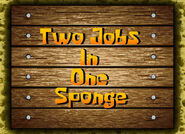 2 Jobs in 1 Sponge