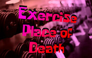 Exercise Place of Death