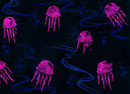 Jellyfishing