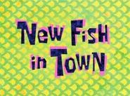 New Fish in Town