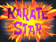 300px-Karate Star2