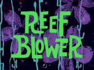 Reef Blower