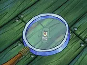 Rák úr észreveszi Planktont