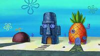 Conch Street