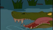 Crocodile smile
