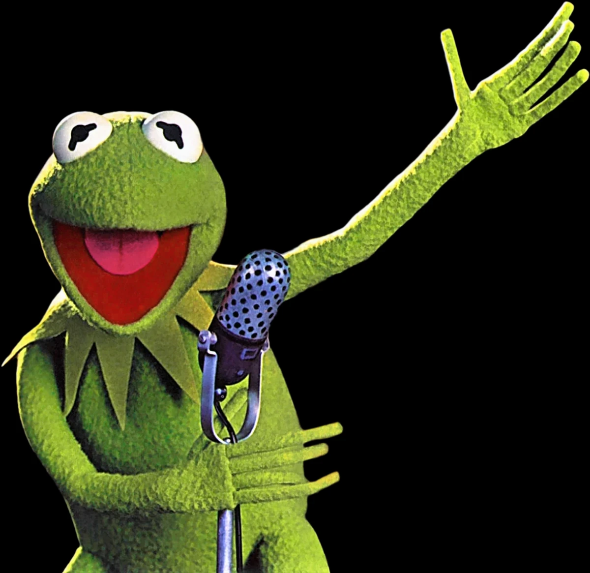 Kermit the Frog Spoof Wiki Fandom