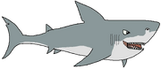 Megalodon-new