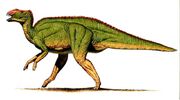 Hadrosaurus-hvrsd.org c330