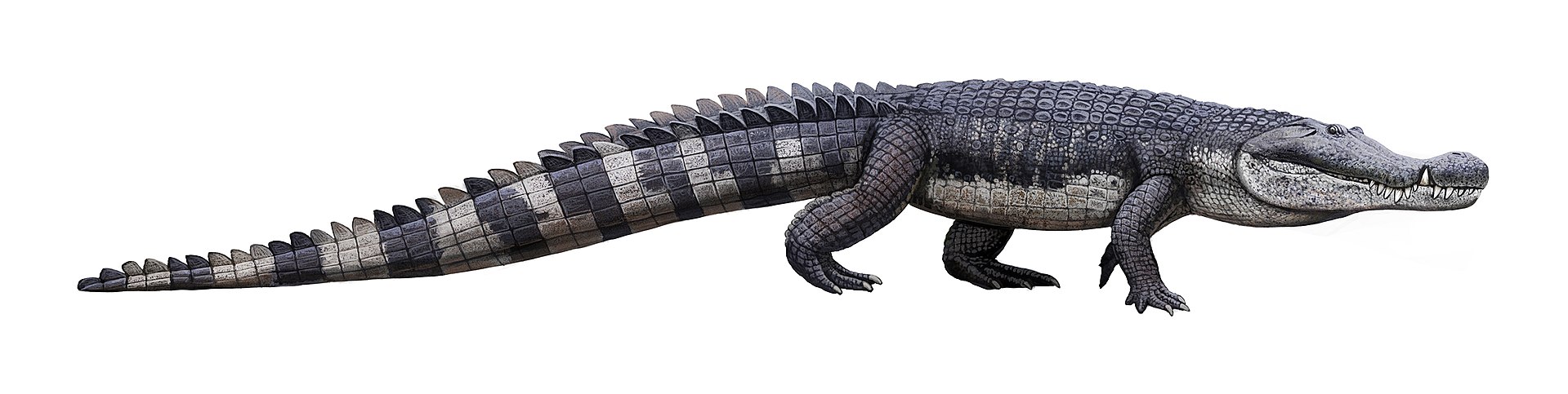 Deinosuchus: The King Of The Crocodilians 