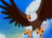 TLMS Steller27s Sea Eagle